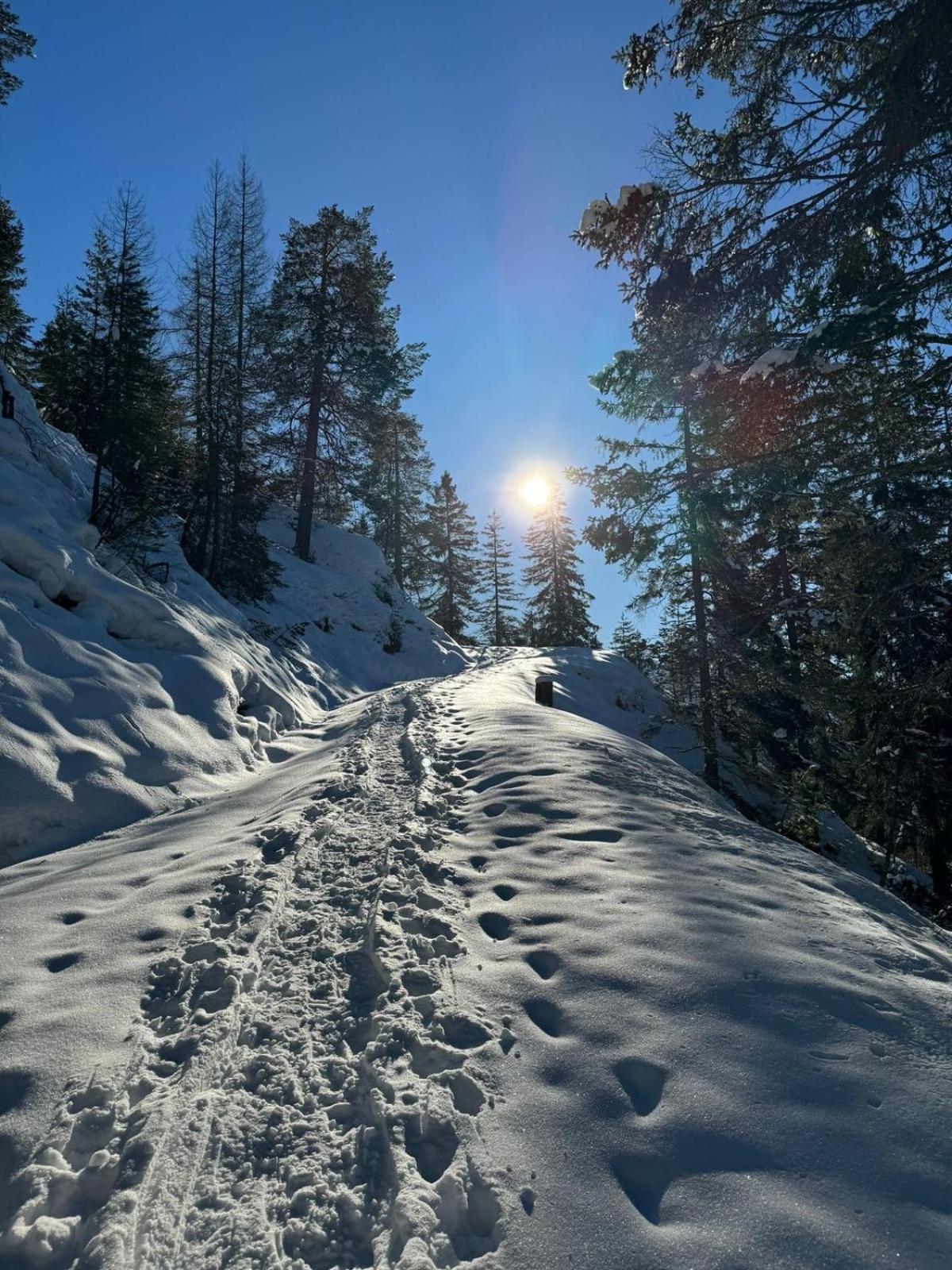 Alpenlandhaus Menardi ゼーフェルト・イン・チロル エクステリア 写真