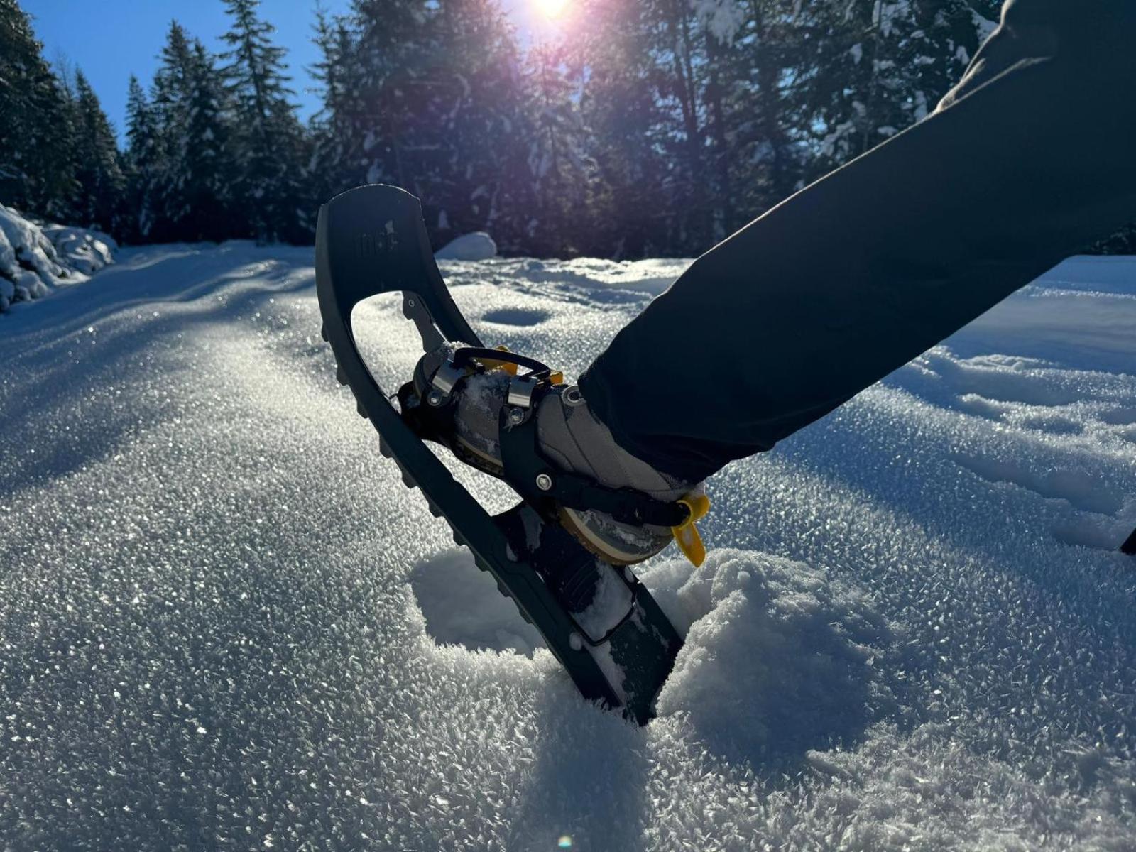 Alpenlandhaus Menardi ゼーフェルト・イン・チロル エクステリア 写真