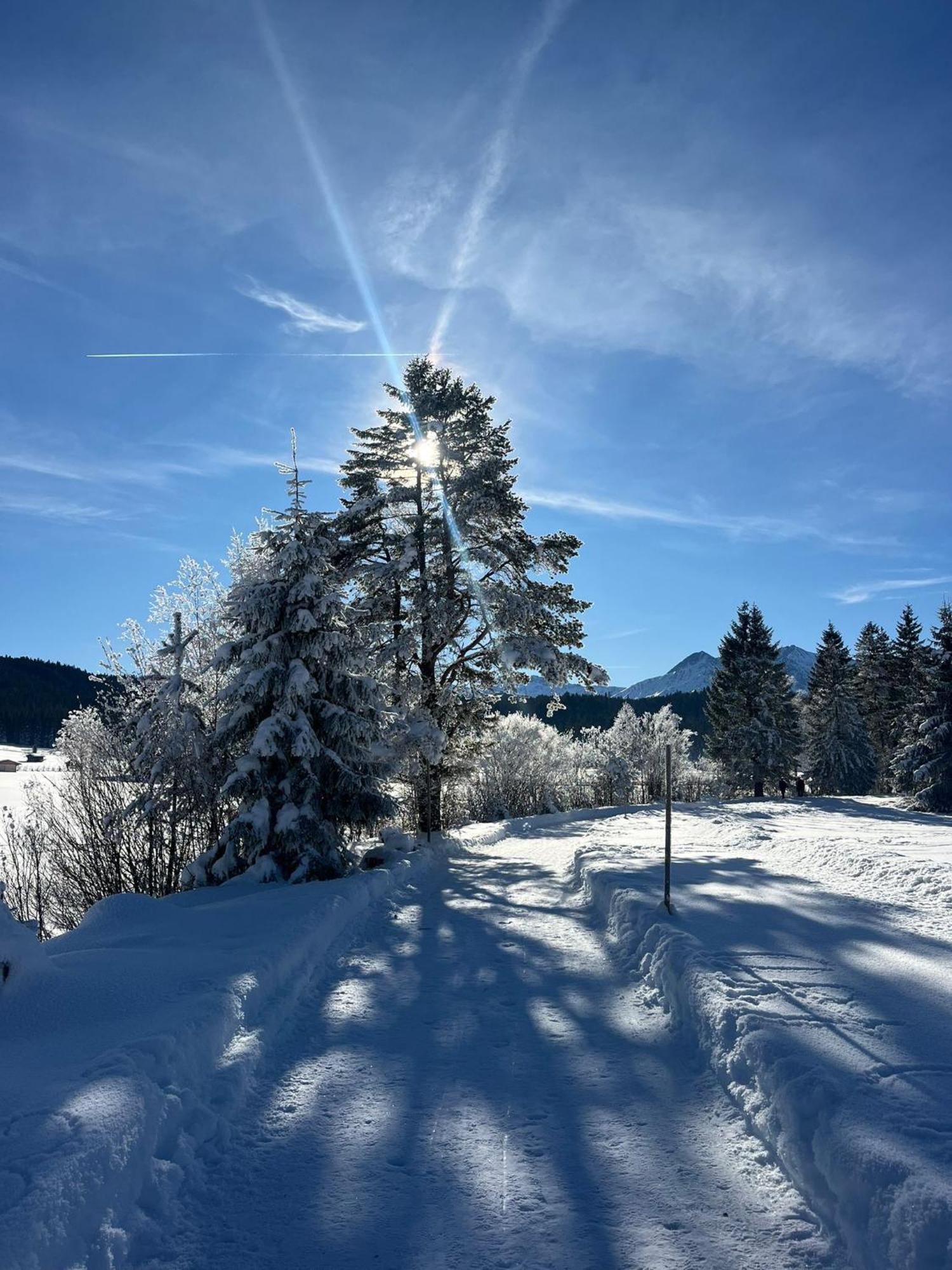 Alpenlandhaus Menardi ゼーフェルト・イン・チロル エクステリア 写真